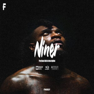 Niner
